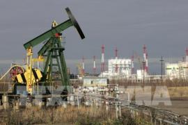 Giá dầu rơi xuống mức thấp mới trong ba tháng khi nỗi sợ virus gia tăng, OPEC đang tính đến cuộc họp sắp tới