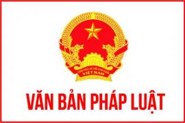 Cập nhật VB Pháp luật: Quy định xử phạt vi phạm hành chính lĩnh vực lao động, bảo hiểm xã hội