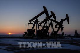 Giá dầu giảm khi của OPEC+ kéo dài việc cắt giảm nguồn cung